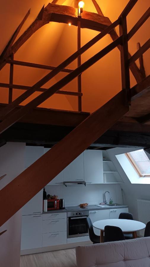 Al In Den Aap Gelogeerd? Apartman Mechelen Kültér fotó