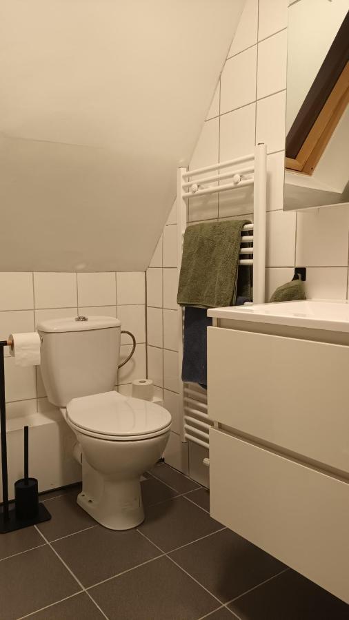 Al In Den Aap Gelogeerd? Apartman Mechelen Kültér fotó
