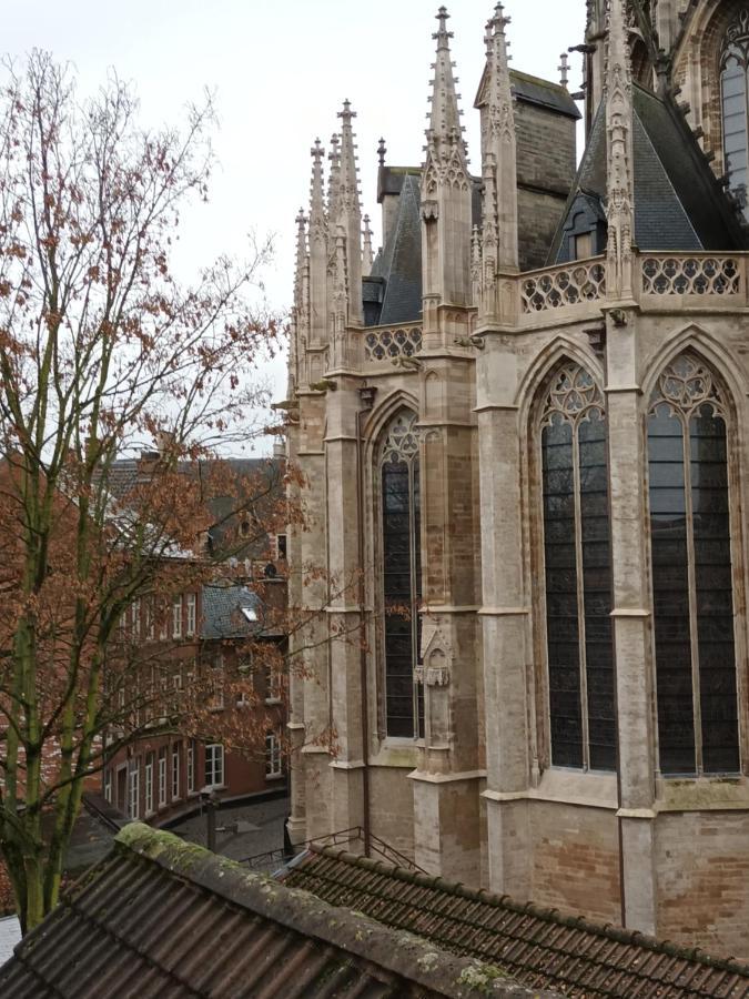 Al In Den Aap Gelogeerd? Apartman Mechelen Kültér fotó
